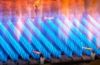 Selkirk gas fired boilers